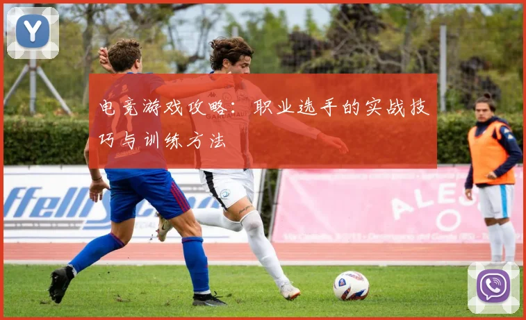 电竞游戏攻略：职业选手的实战技巧与训练方法
